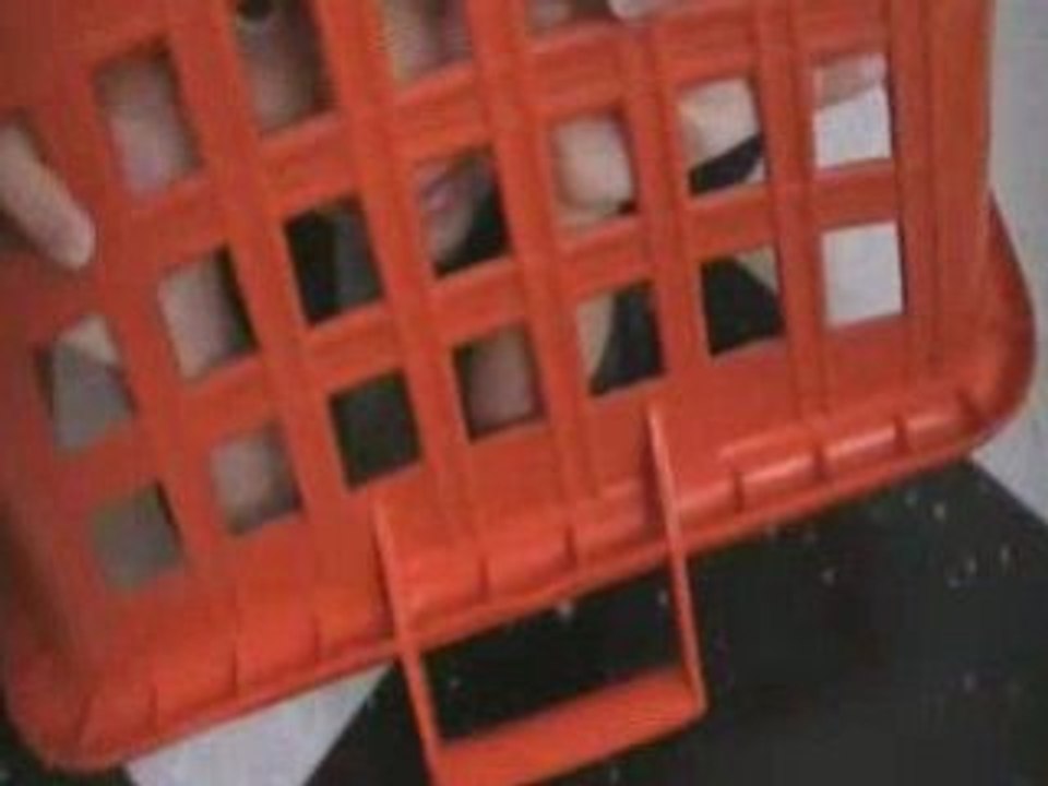 Killian est en cage .....