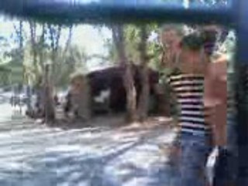 3 fooles =P