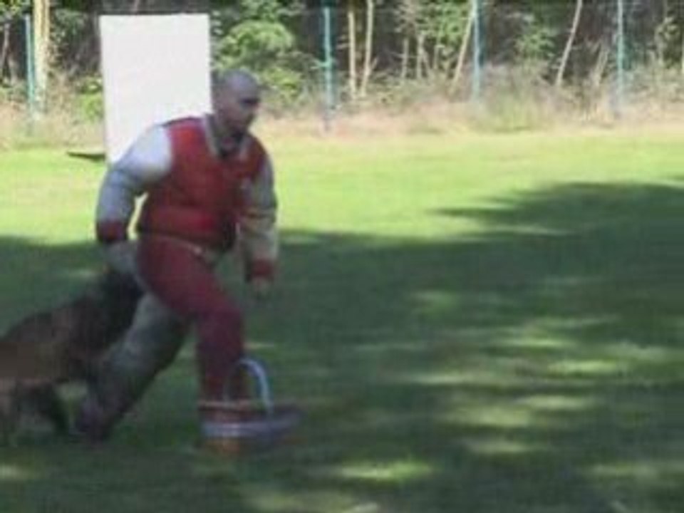 Virus du Bois des Trembles Championnat de Lorraine Ring 2008