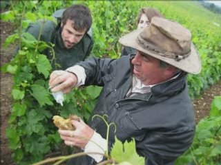 Claude et Lydia Bourguignon : la terre