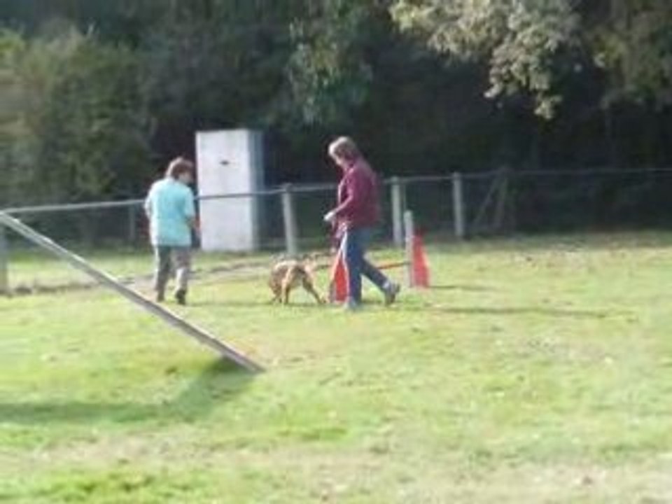 Porte ouverte club canin 020