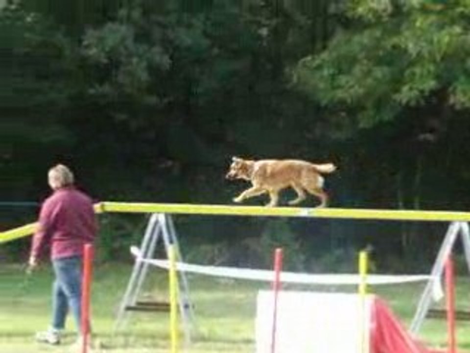 Porte ouverte club canin 021