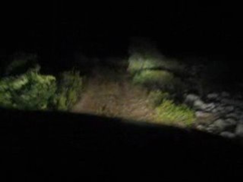 4x4 de nuit pour la bergerie 2