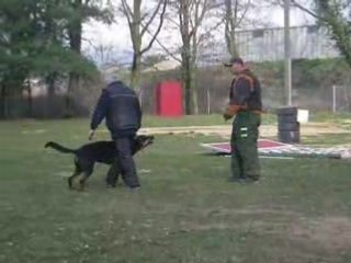 Urak à la défense du maître