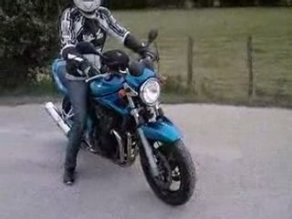 600 bandit teddy