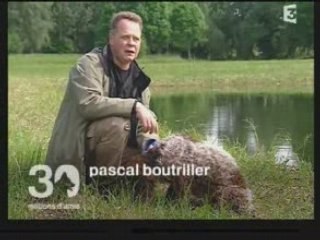 LES BEAUX EPAGNEULS DE PONT AUDEMER