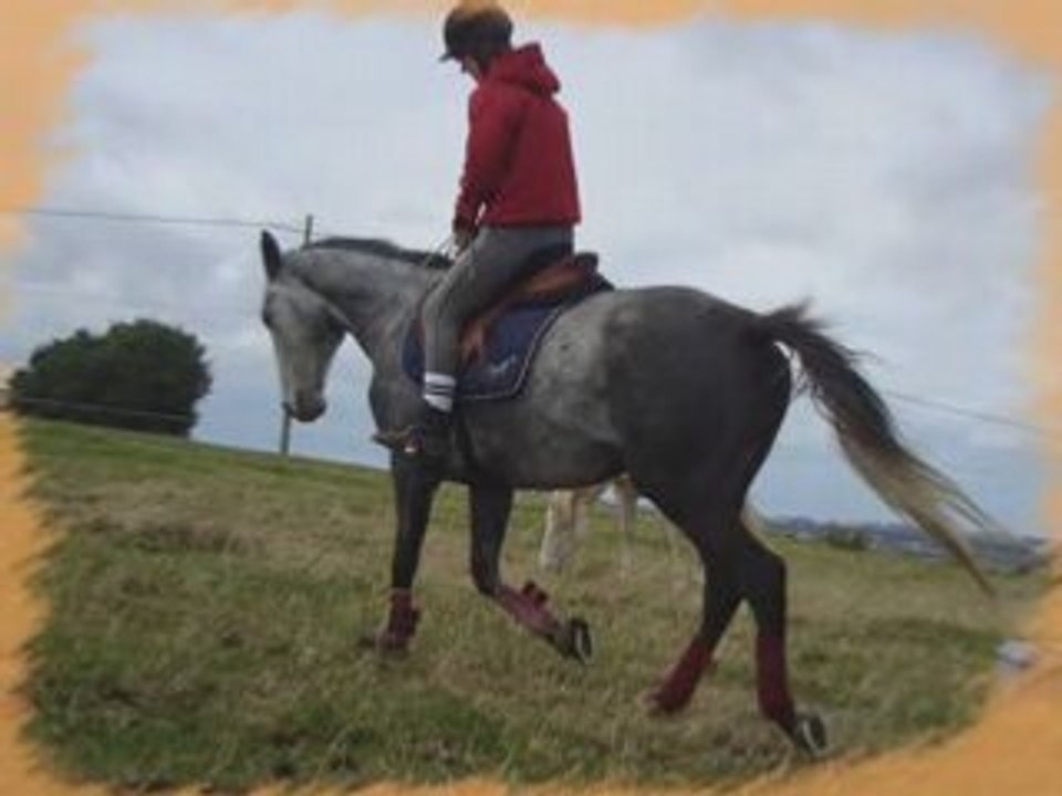 Onyx marion && moi