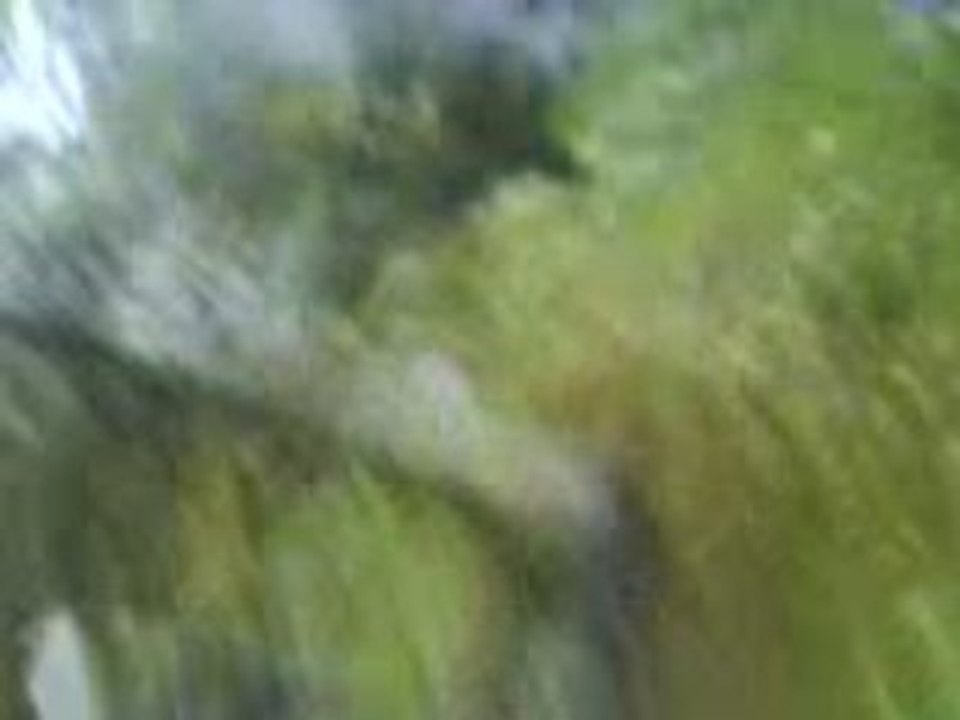 MOV00162