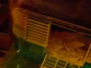 mes frére ses batar