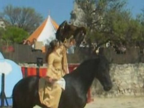 Fête médiévale : Fauconnerie équestre Baux de Provence.