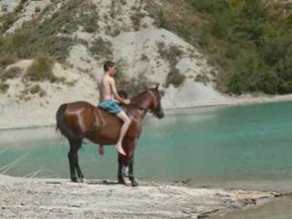 Baignade à cheval