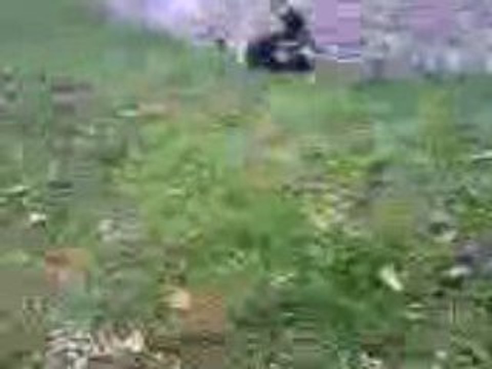parkourdu67