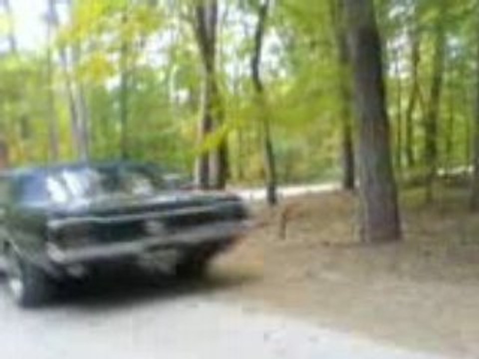 stang1