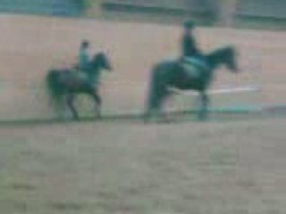VID002