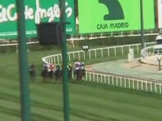 2008 (386) Premio Trofeos Ferposan (H) (LISSELAN MUSE)