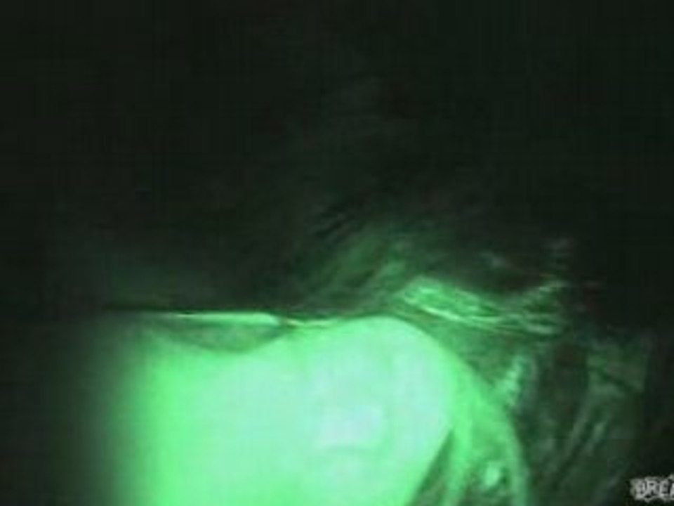 Sarah Palin Sex-tape
