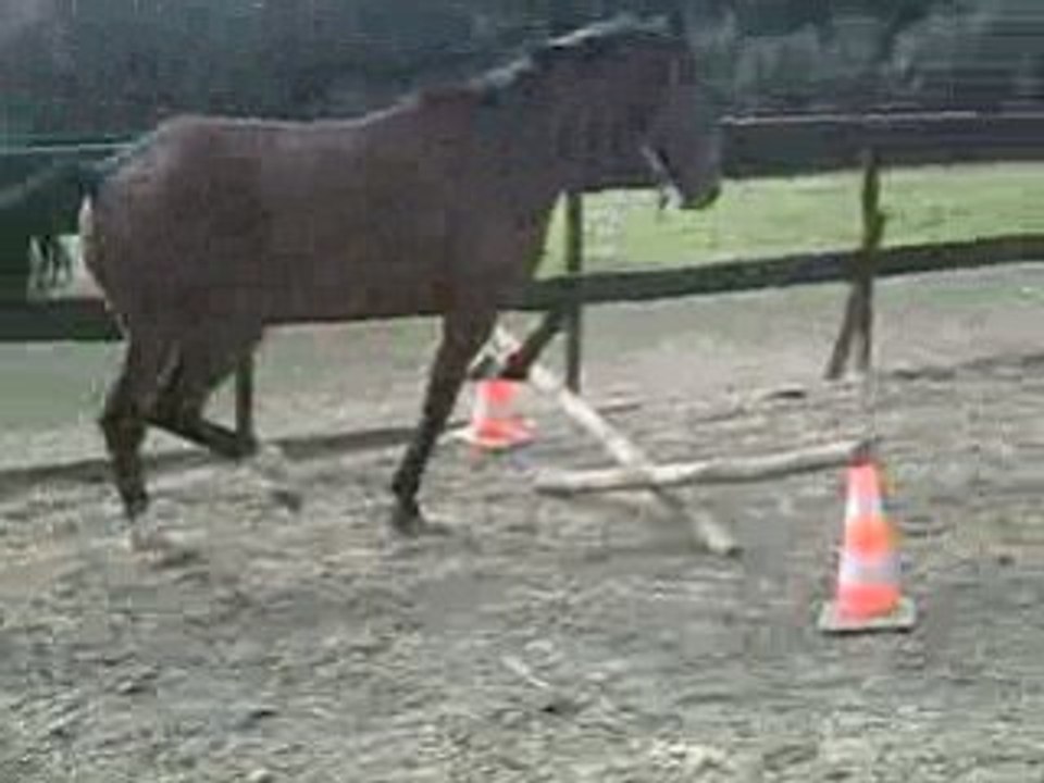 CLIP0305