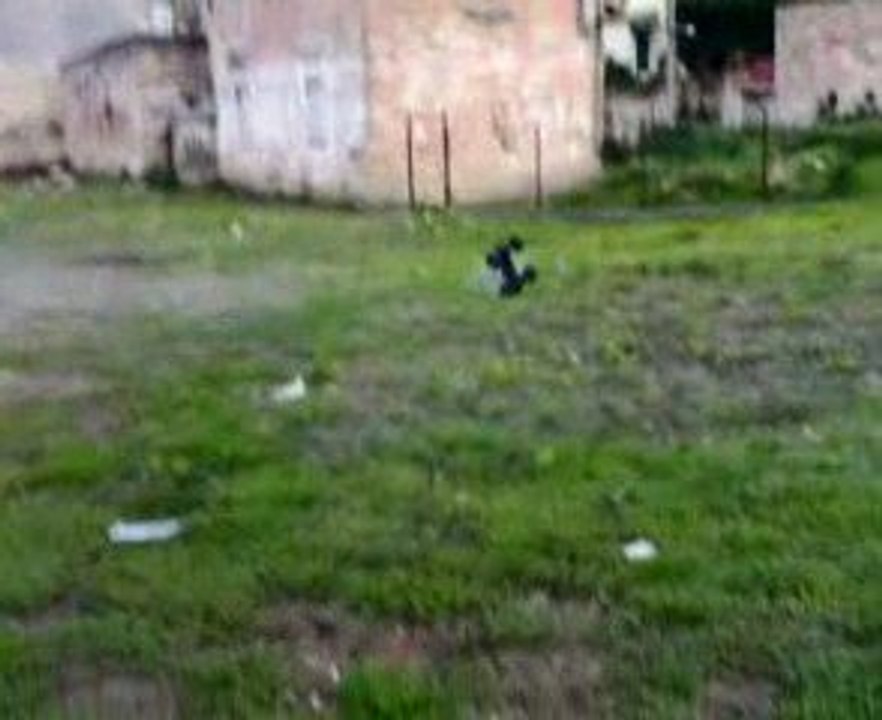 Hpi Savage X with Axial .28RR & Hpi Savage 25 with F4.1 (2)