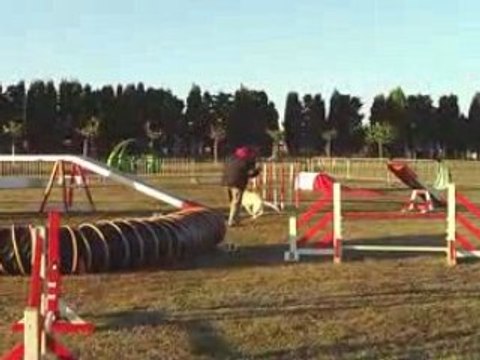 051008-Carcassonne-Open-Woofie