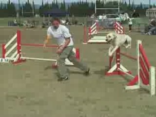 051008-Carcassonne-GPF-Woofie