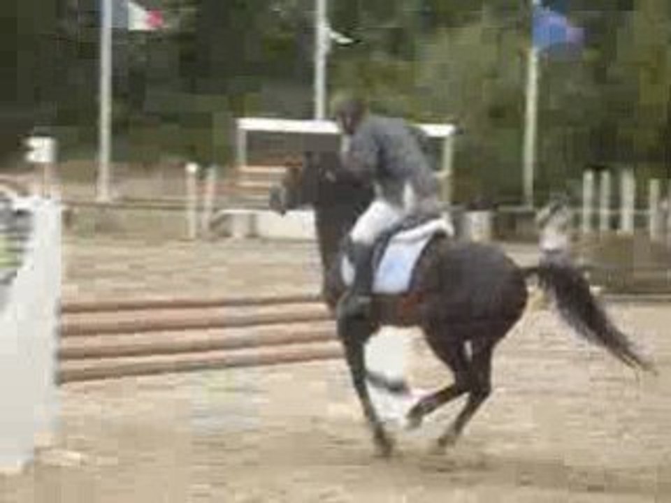 Bruno sir chouchou