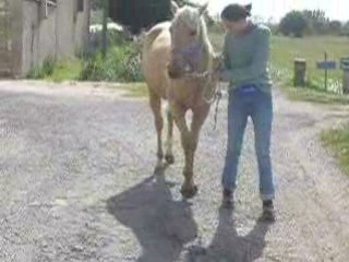 Debut pas espagnol...