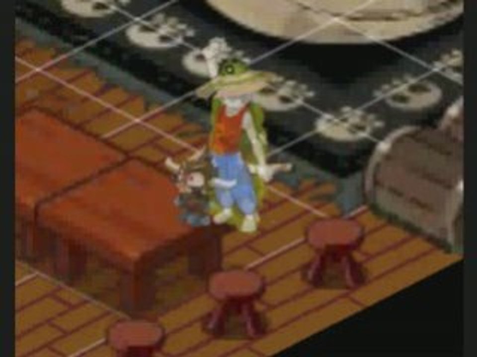 Vidéo camarillia photo de guilde