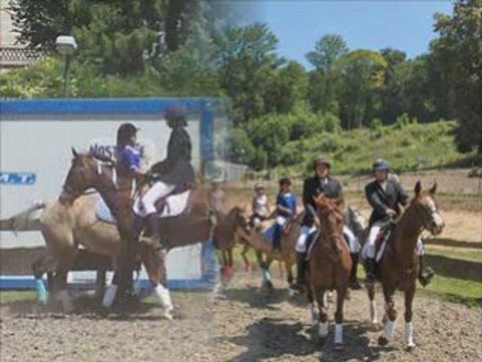 Au bonheur du cheval