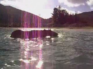 Toska à la plage dimanche 5 octobre