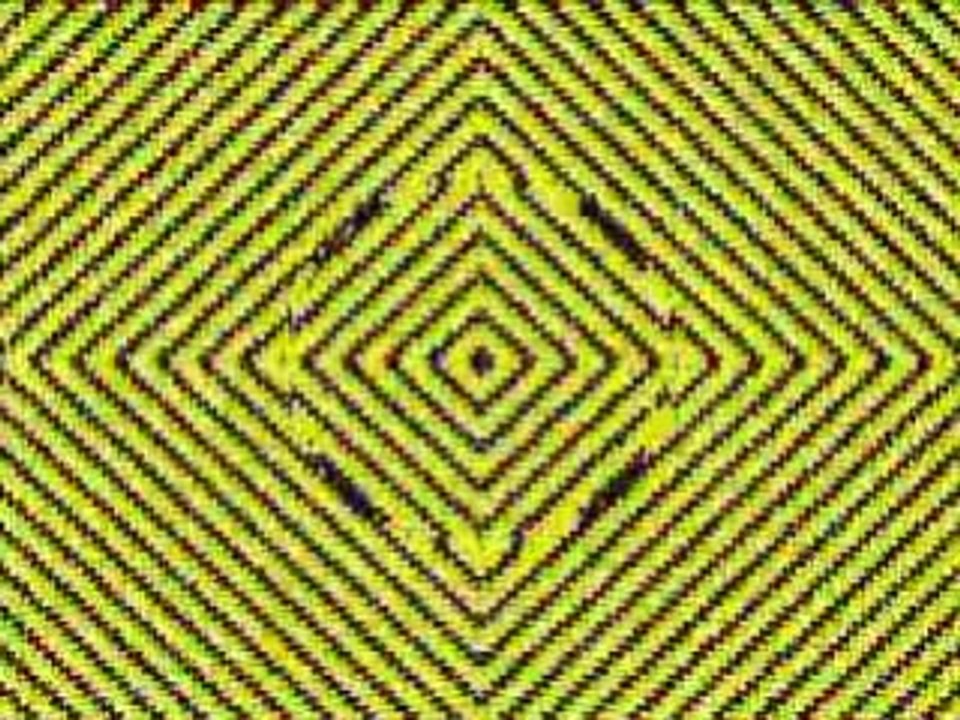 Das Video, das Verrückte macht