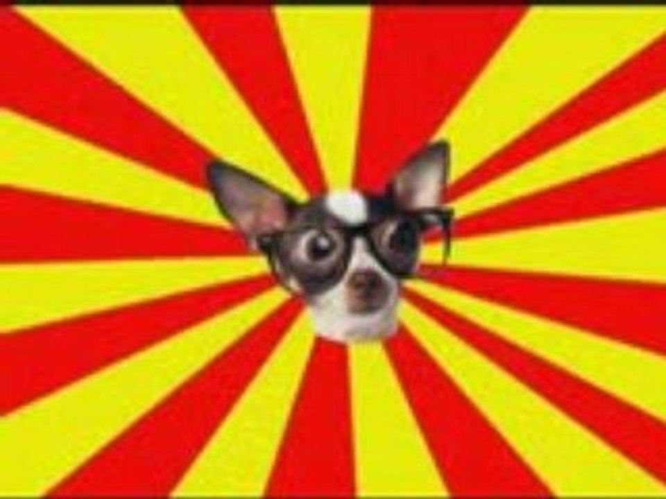 Petit_caniche_peluche_pour_vieux