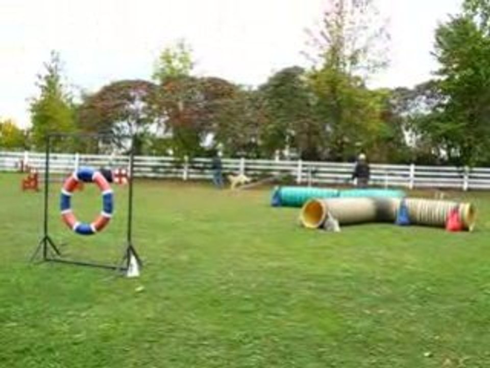 Fun Match Agilité