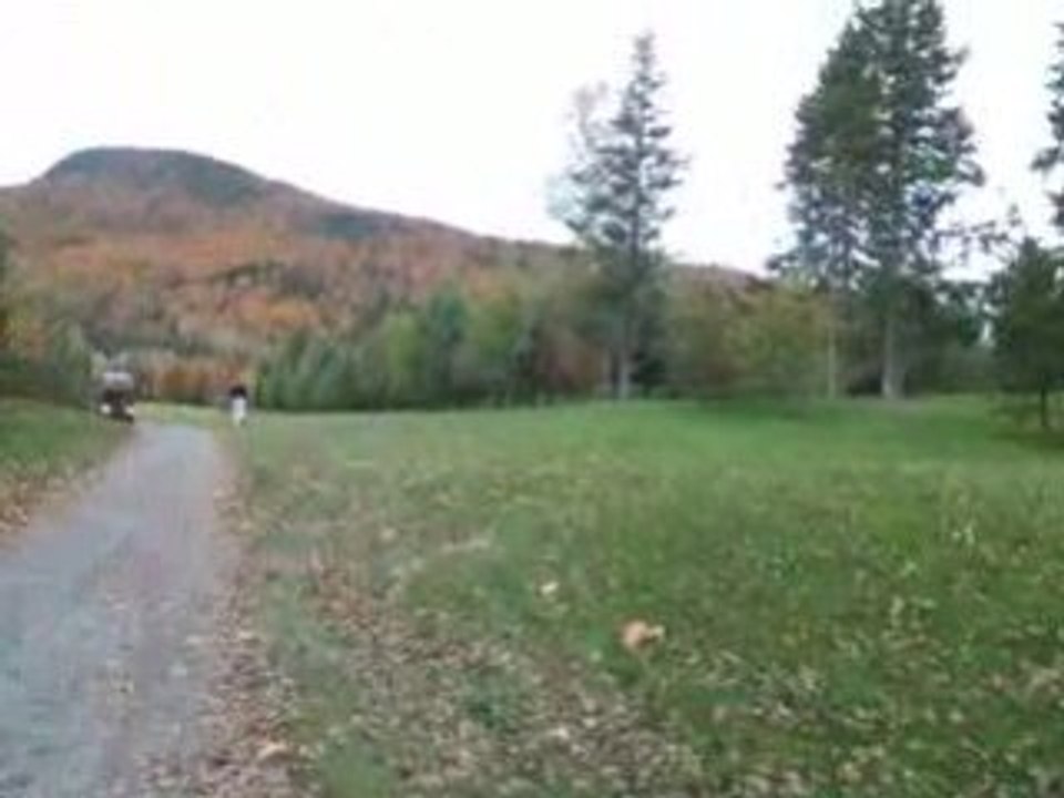 DSCF9849