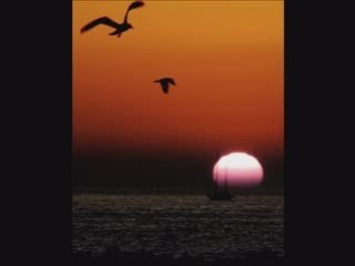 ABİDİN BİTER-ERTELENDİM