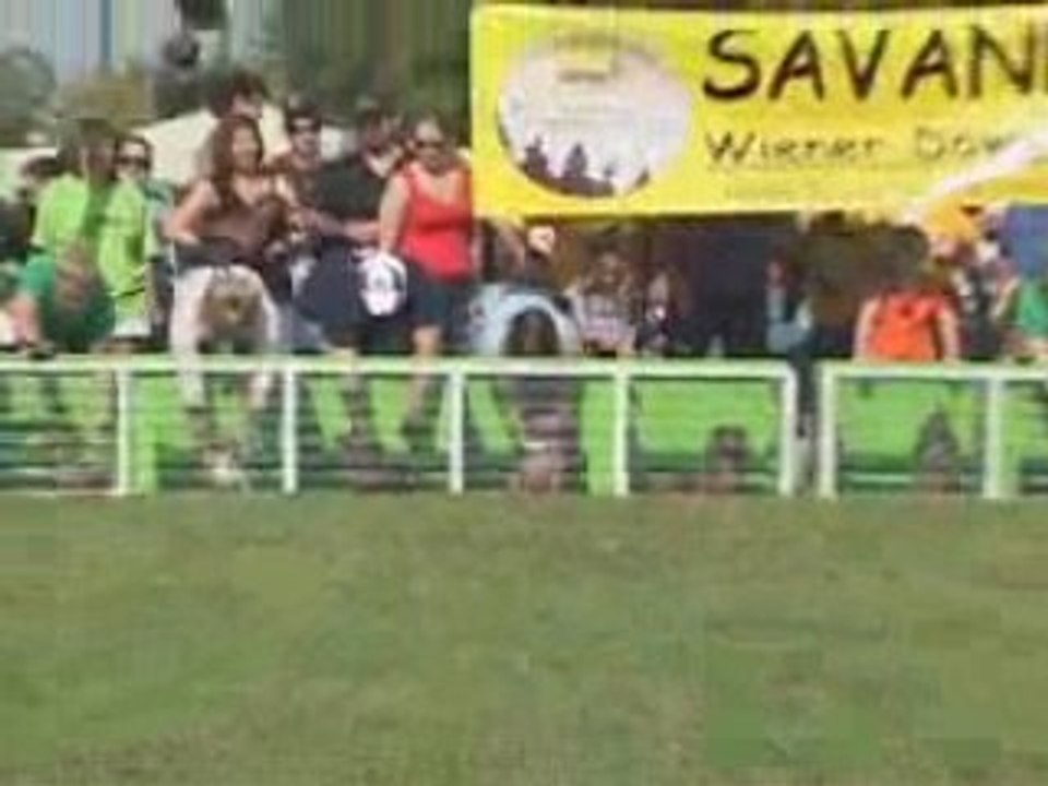 Wiener Dog Race in Savannah, Georgia