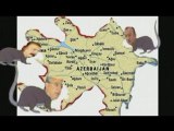 Azeri Azerbaijan national rats Ilham Aliyev Ramiz Mehdiyev