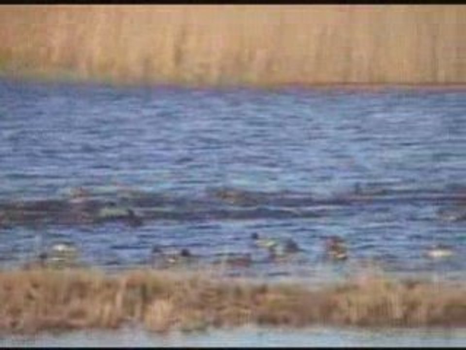 Parc des Marais haute def