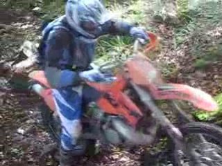 Denis monte dans les racines