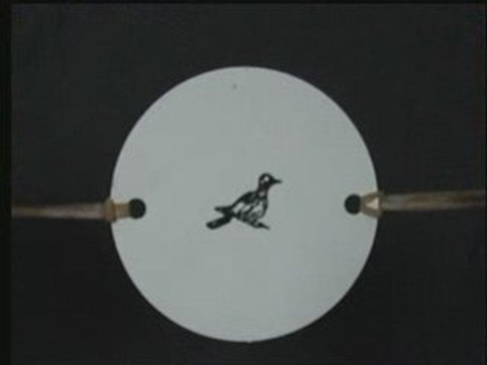 Thaumatrope (2008)