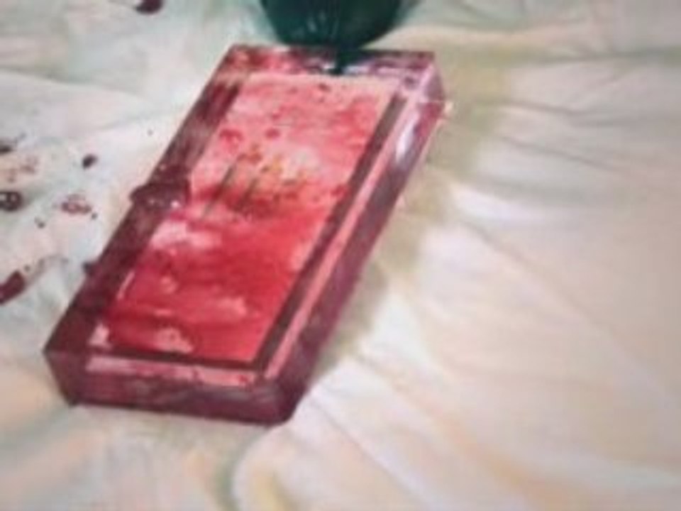 Fresh PR Award 2009 Viral