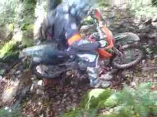 Marc monté dans les racines