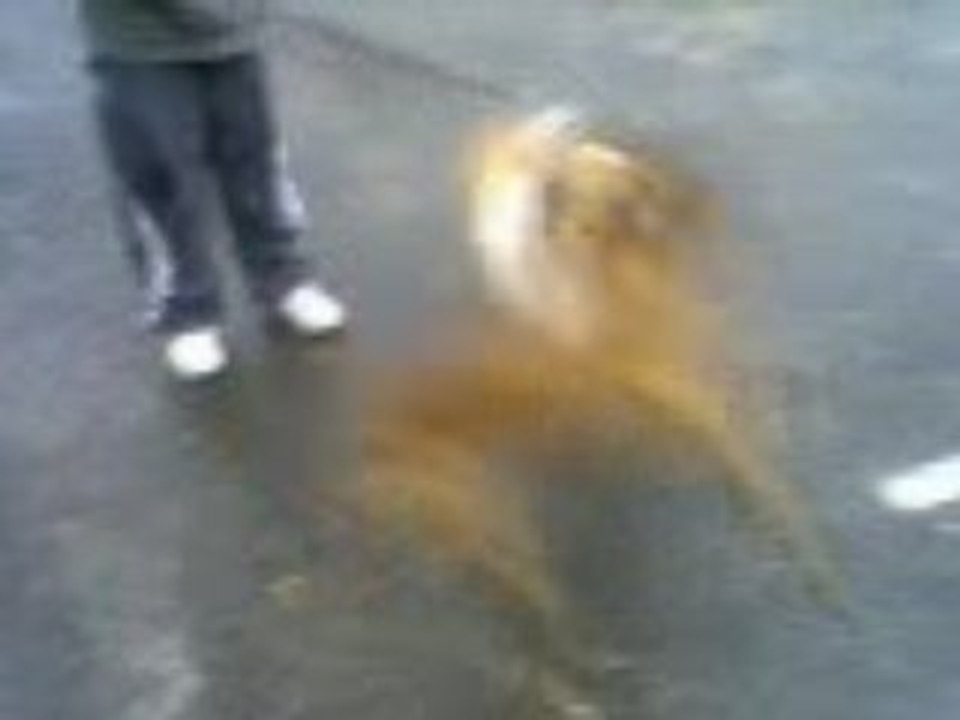 Jeux de boxer made in Quimper