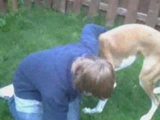 Le chien nest plus le meilleur ami de lhomme