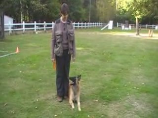 Dalya : les positions