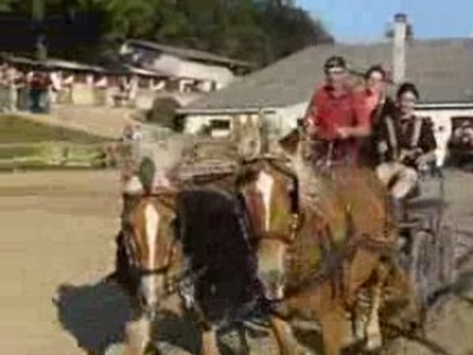 Démonstration d'Attelage