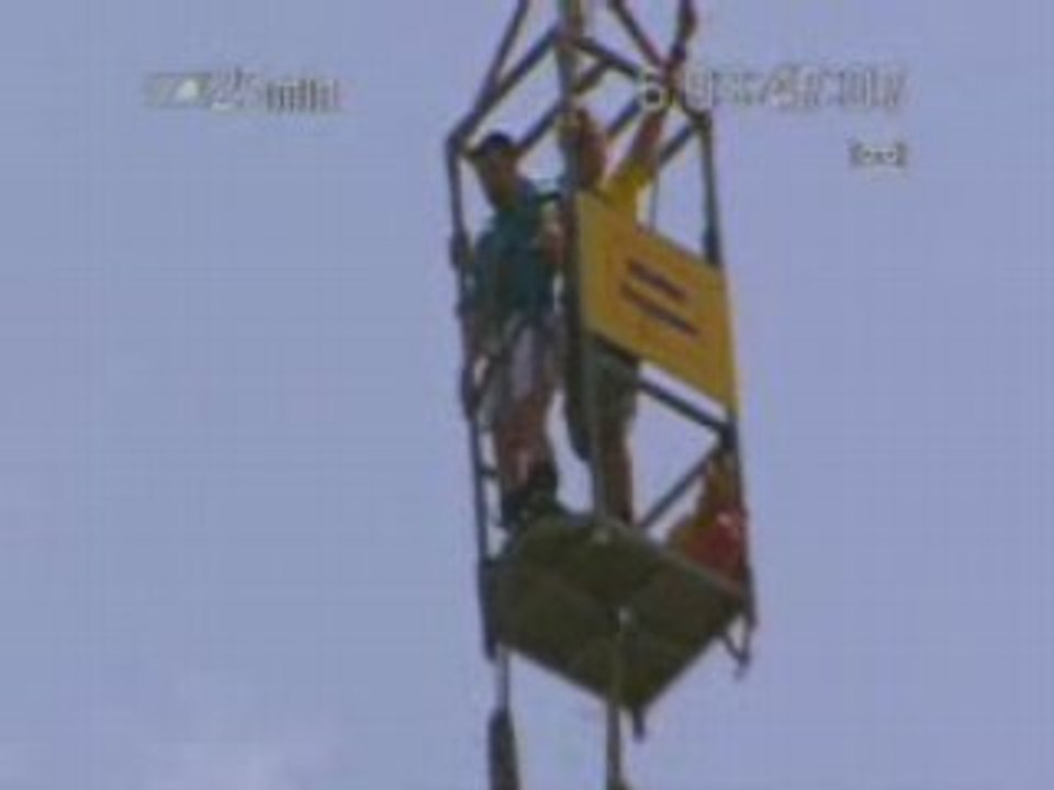 Alligator-saut-elastique