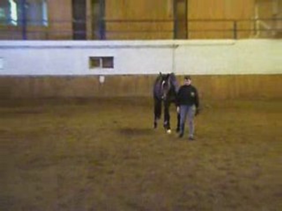 Pommes pommes pommes