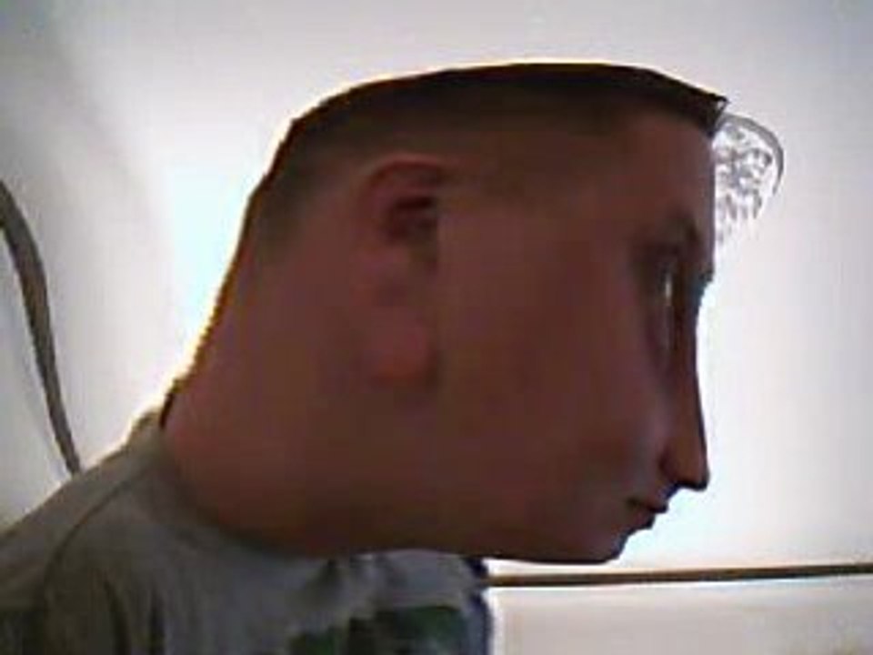 Pinokio do domu