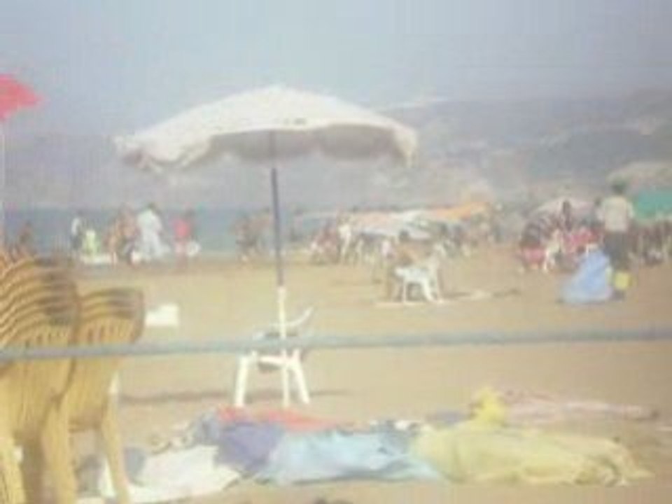 SAIDIA