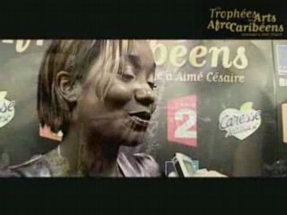 Trophées des Arts Afro Caribéens - Coulisses